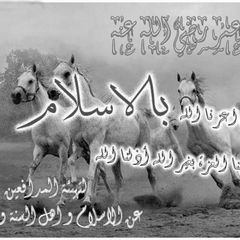 3107985_bWqfi1460652486702.jpg