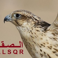3455934_bbLIr1460707276750.jpg