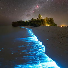 4632529_w76d3ec82-39f3-483d-a6cc-b6b53e60da2e.jpg